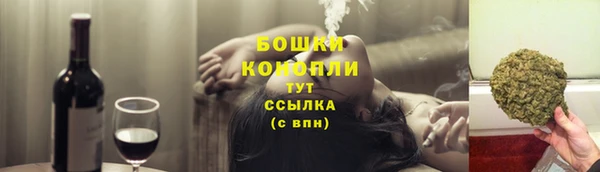 мдпв Богородицк