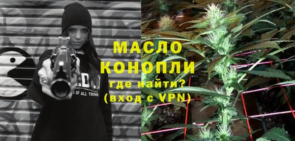 мдпв Богородицк