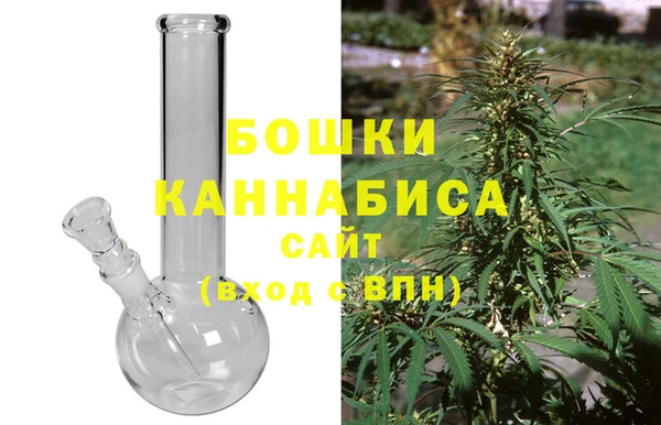 мдпв Богородицк