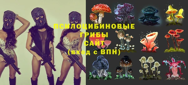 шишки Заволжье