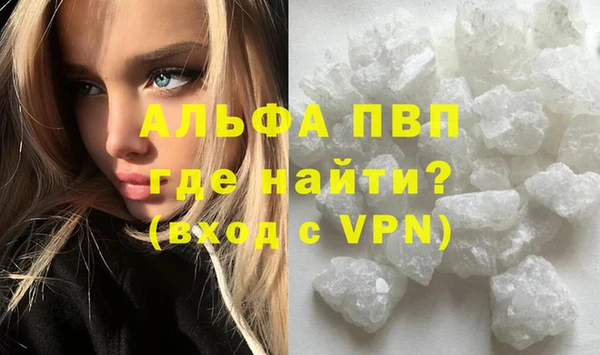 таблы Бородино