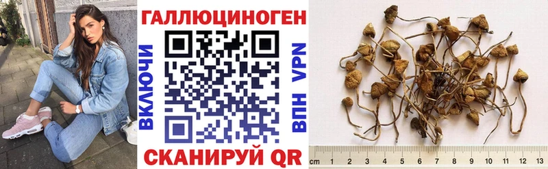 хочу   Велиж  кракен зеркало  Галлюциногенные грибы MAGIC MUSHROOMS 